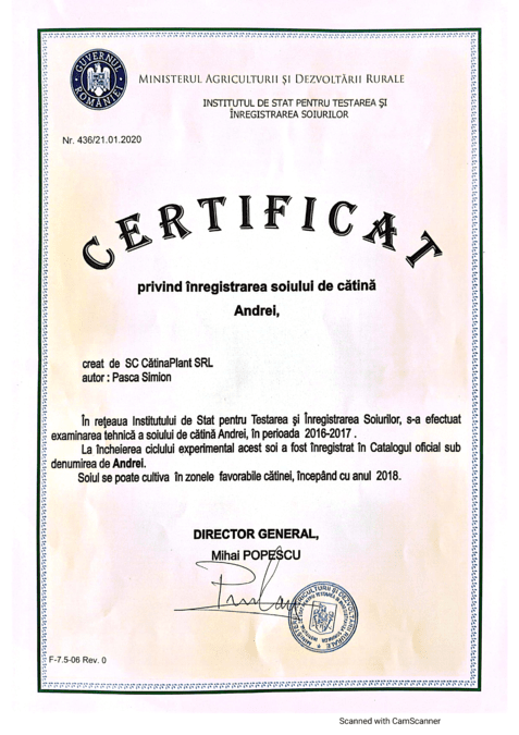 Soi Andrei Certificat