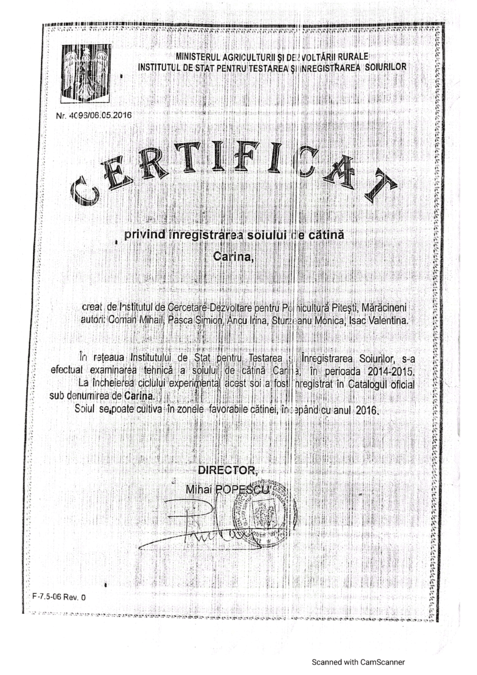 Soi Carina Certificat
