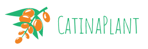 CatinaPlant