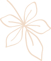 Plant Shape