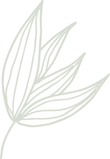 Plant Shape